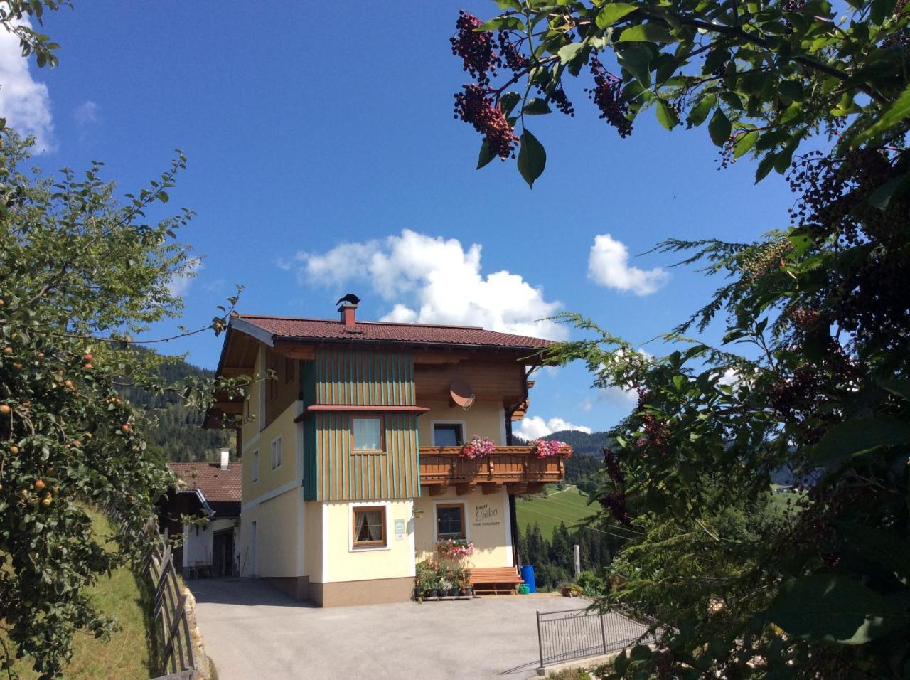 Haus Erika Apartment Wagrain Exterior photo